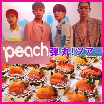 初PEACH弾丸ツアー44時間40分 ①