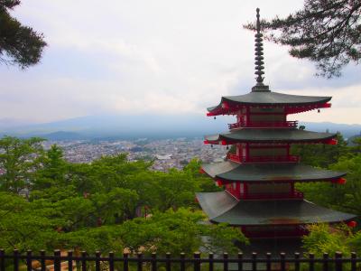 山梨でさくらんぼ狩りと富士吉田の富士山と五重塔が見えるスポットへ