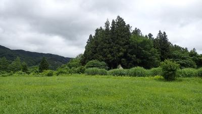 ジェットでびゅ～ん！！＆列車＆レンタカー／初遠野に大感動＆花巻と鉛温泉４泊５日