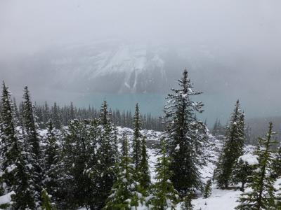 憧れの夏のカナダ旅行その② 7月なのにまるで冬!のカナディアンロッキー