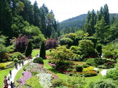 憧れの夏のカナダ旅行その③*花盛りのバンクーバー&ビクトリア*