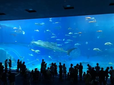 道産子夫婦が行く★台風直後の沖縄本島4泊5日その９・道の駅かでな