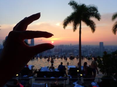 モルディブ　フラワリアイランドリゾートとシンガポール立寄り9日間　リラックスとアクティブ共存の旅　Part7  シンガポール編