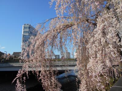 2018.4 春休み★上京記(1)宇都宮