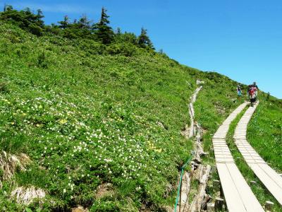 花の尾瀬至仏山