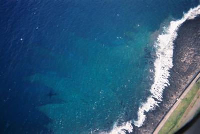 新中央航空で行く週末伊豆諸島アイランドホッピング（大島編）