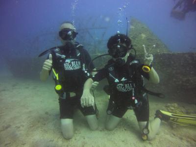 タオ島でダイビングしてきました