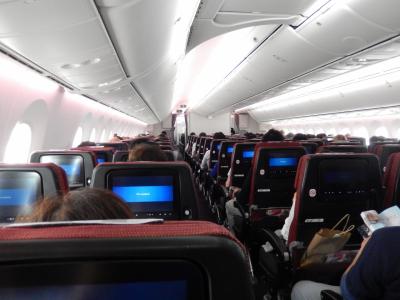 JAL 成田→モスクワ B787 エコノミークラス 搭乗記