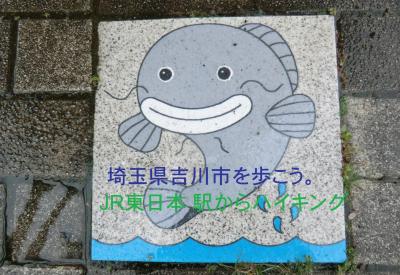 残り4県！4トラ國盗り合戦・その1.JR東日本.駅からハイキング(武蔵野線/埼玉県吉川駅)