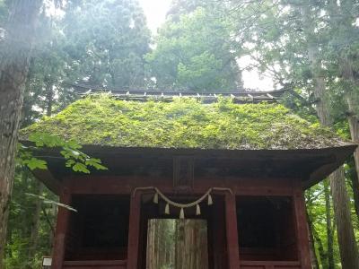 長野のパワースポット戸隠神社と善光寺1泊2日