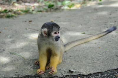 結婚一周年旅行 in 石垣島④