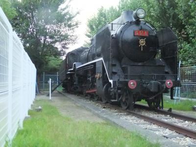 D51登場　尼崎の隠れた名所　大物公園