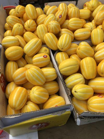 韓国弾丸出張記