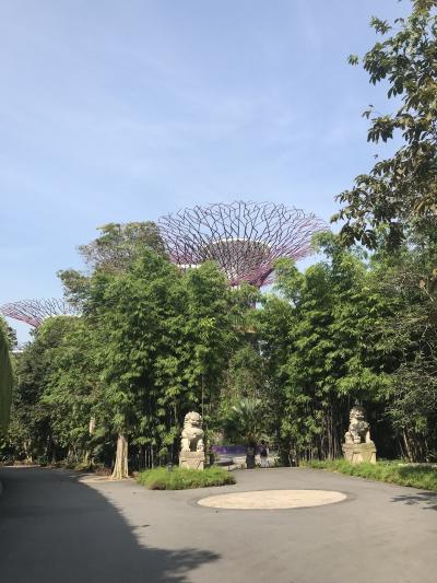 JGCシンガポール一人旅1泊2日の旅