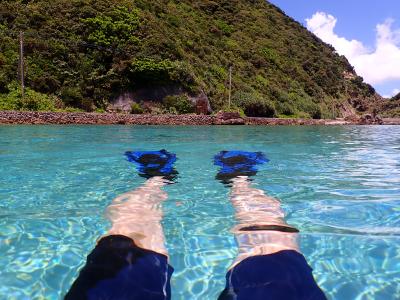 2018 離島一人旅 奄美大島(2回目)