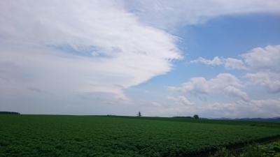 初夏の十勝地方・摩周湖・釧路湿原の旅