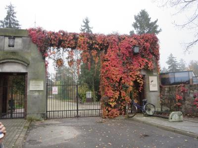 ３度目のポーランドは、可愛い小さな街探訪８日間☆その１０☆ジェラゾヴァ・ヴォラ～ショパンの生家は相変わらず紅葉が綺麗でした♪