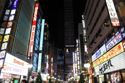 新宿～ぶらりぶらりと行く繁華街～