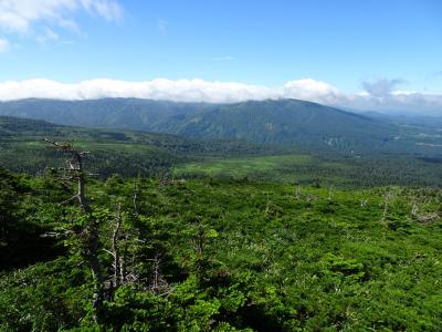 夏の八甲田・奥入瀬旅行。感動的な自然、美味しい食事を満喫　３日目　感動した八甲田の森、そして蔦温泉で癒された最終日（2018年７月）