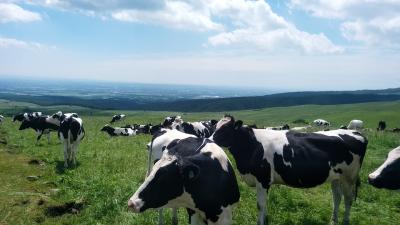 ドライブat北海道2018~再び北の大地へ~Vol.1