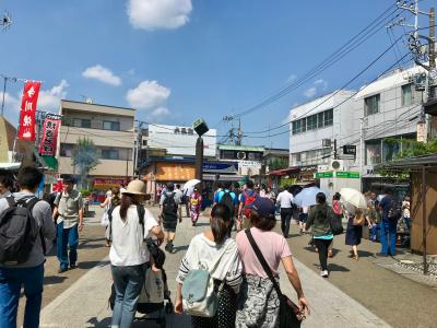 葛飾納涼花火大会に行ってみた