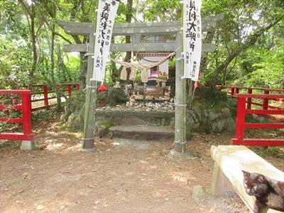 猫探し【宮城（田代島・Tashiro-jima Cat Island)編】