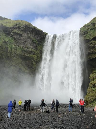 VIVA ICELAND!（レイキャビク到着・プラネットアパートメント・シーバロン）その１