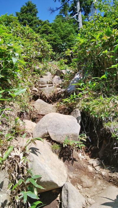 志賀高原最終日は志賀山へ