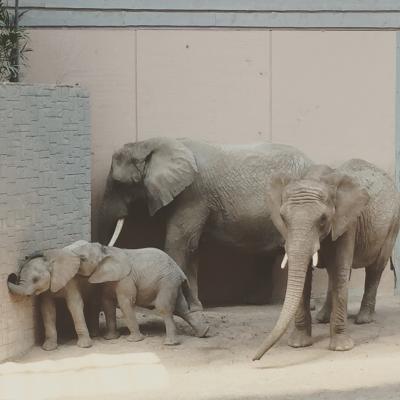 Borås Zoo