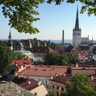バルト三国　ヘルシンキの旅　⑧ラトビア・リがからエストニア・タリンへの移動～エストニア散歩