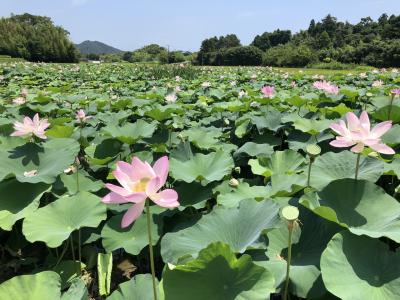 2018.07 鴨川小旅行