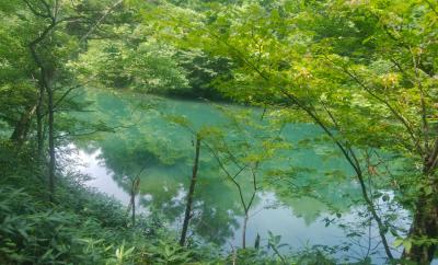 イワナの森で癒される