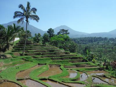 バリ島2018年7月サヌール＋ウブド旅行記１（出発編）