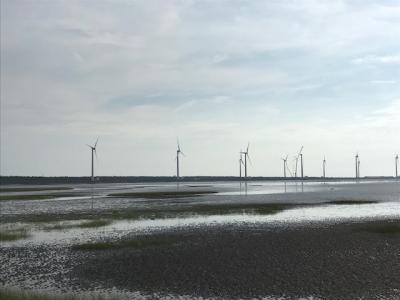 台湾縦断食の旅