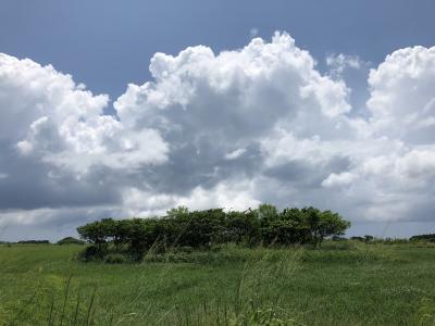 黒島ひとり旅