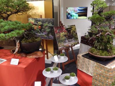 石原和幸　日本最大「風景盆栽展」を偶然見る