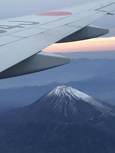 2018 JAL  JGCの修行をする！FOP　都道府県シール