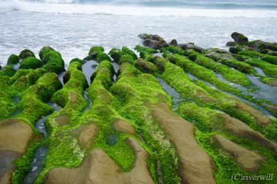 緑のベルベット絨毯が広がるビーチ「老梅石槽」