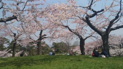 SAKURA TRIP 2018