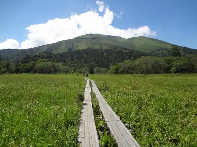 「尾瀬・草津・老神・富岡」見所が多すぎる群馬を満喫する旅　1日目　尾瀬～草津編