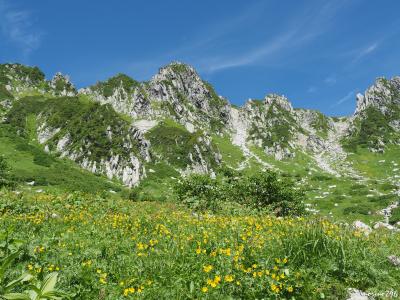 2018夏の花旅：（２）天空のお花畑・千畳敷カール