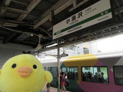 八ヶ岳高原線(小海線)沿線をたびするトリ 山梨県