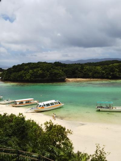 石垣島の旅、イルカと猫と水牛と…②　川平湾とドルフィンファンタジー編