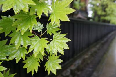 秋田旅行記～2018 仙北市編～その4