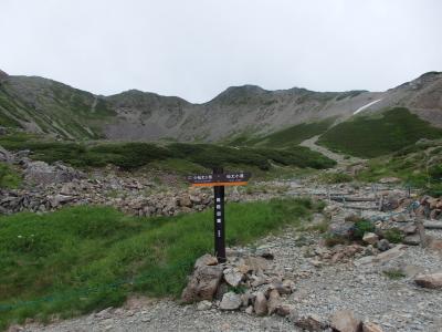 仙丈ケ岳(藪沢・重幸コース)登山　野花を求め