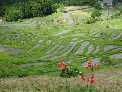 大収穫　日本棚田百選（３）丸山千枚田と大台ケ原と道の駅５ヶ所