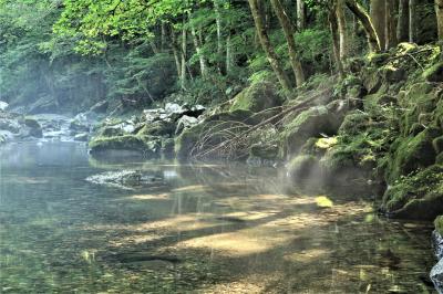 暑さを忘れてしばし逃避行♪　川霧と光芒の円原川♪　その後は灼熱地獄