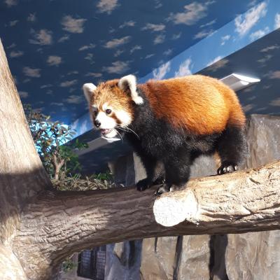 2018/8 栃木　那須高原旅行二泊三日