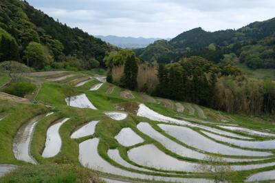 南房総千倉  久しぶりの家族旅行