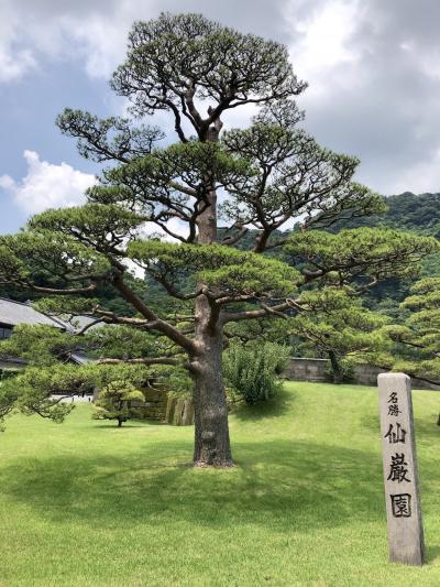 鹿児島：仙厳園へ[2018年8月九州旅行4]